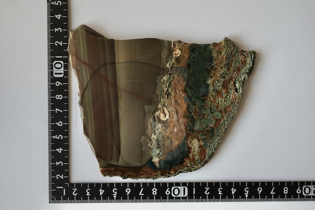 ブルーマウンテン・ジャスパー Blue Mountain Jasper 966