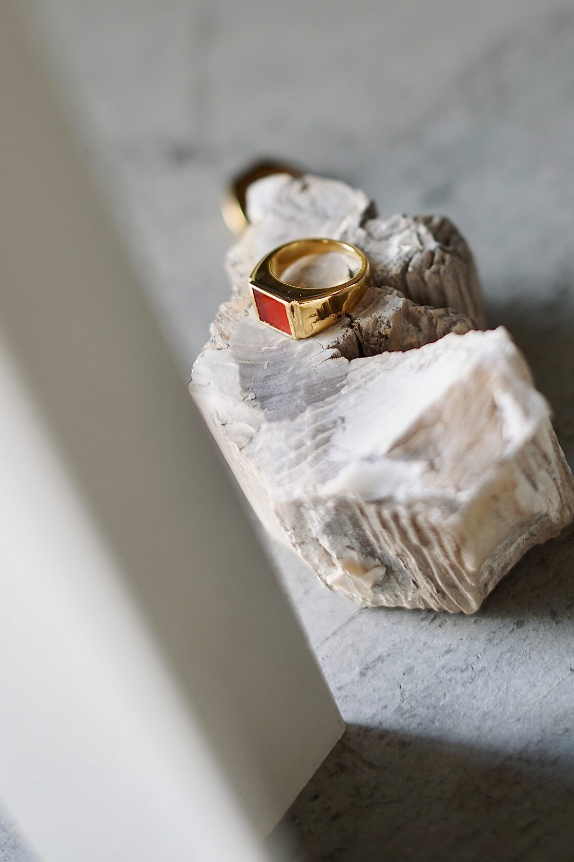 R.ALAGAN / SIGNET RING / RED AGATE (GOLD) | PAY ID