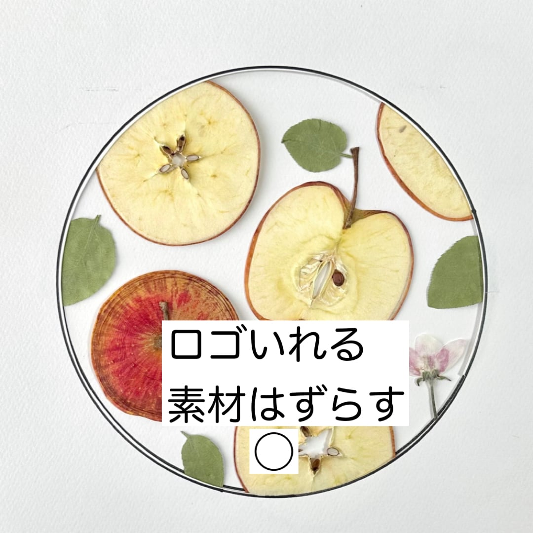 マツ様専用 matu様 専用ページ ☆MATSU☆様専用 マツ様専用 matsu マツ様専用 matu様 専用ページ ☆MATSU☆様専用 マツ様専用 matsu