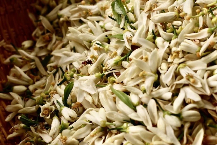 酔虎です！ 虎ノ門蒸留所 初夏の花草 / Toranomon Distillery | ジンラボリカー