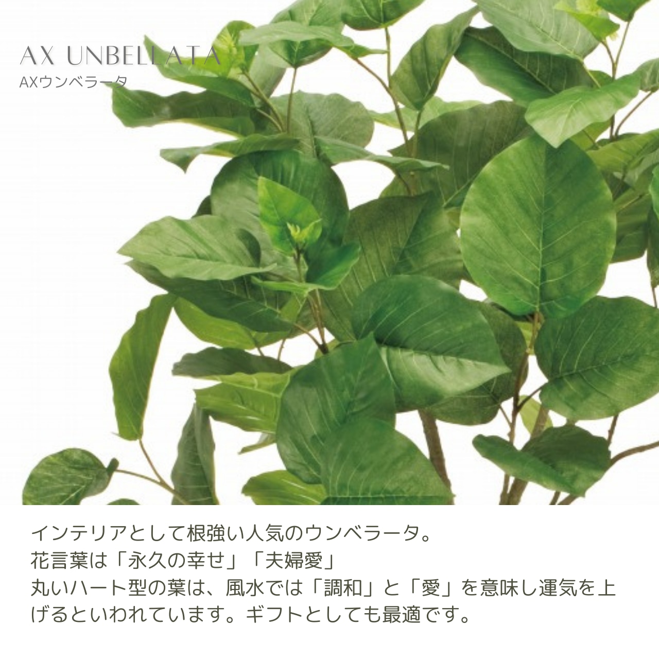 AXウンベラータ180［人工観葉植物・フェイクグリーン］