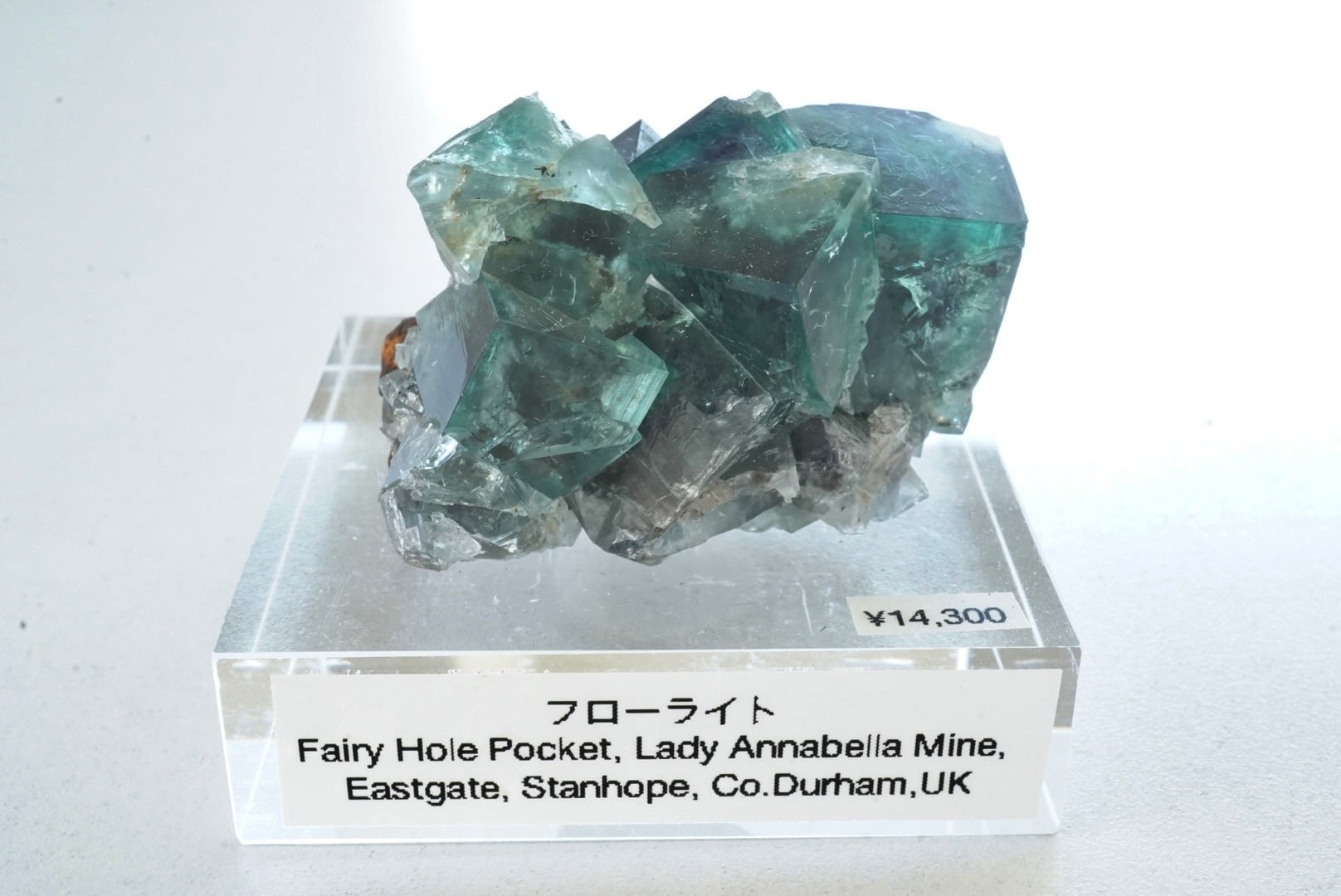 Lady Annabella Fairy Holes Pocket フローライト