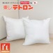 50×50cmカバー用 ヌード 背当クッション 2個セット 東レ テトロン(R) ft(R) 洗える セアテ 中材 発送当日わた入れ加工 国産