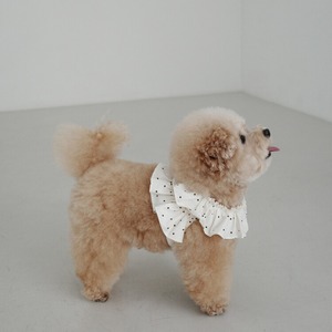 【一部予約】[ OHDIBS ] CAPENESS｜NO.20 _MINI DOT