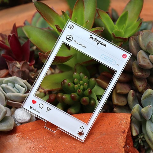 恋二度　香港ファンミ　インスタ風キーホルダー インスタフレーム風ミニアクリルキーホルダー | floridulus♡nichidai