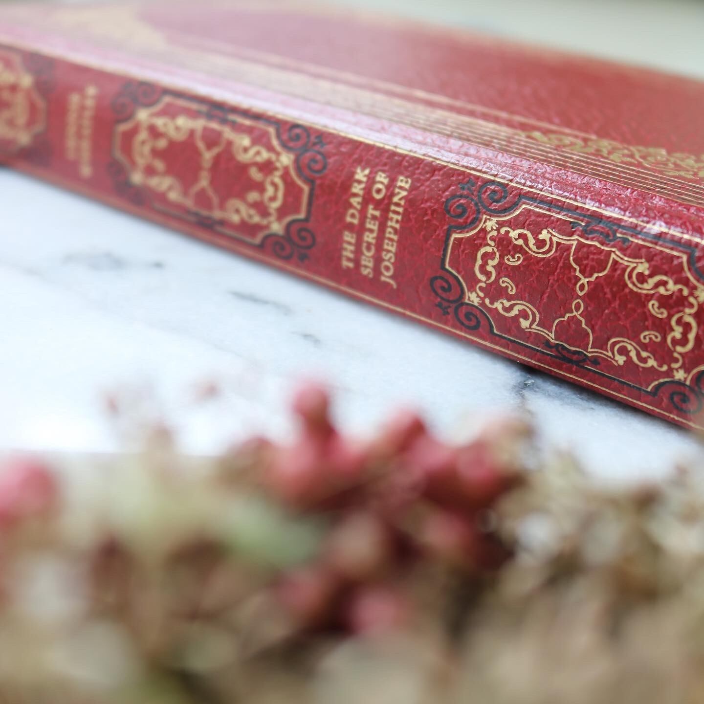 SOLD OUT!!1960年代 ヴィンテージ洋書 赤 | EUCALYanbr