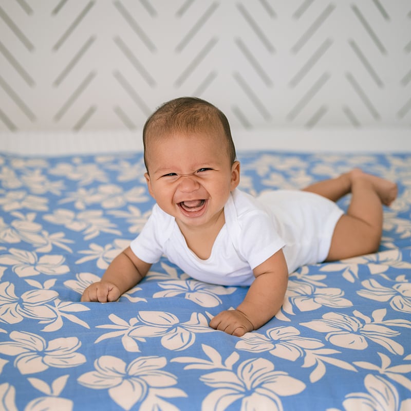 ギフト | babybaby