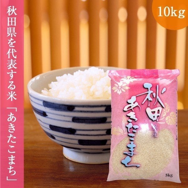 新潟のおいしいお米屋さん　お米　あきたこまち　令和元年産　(5kg×2袋　送料無料　精白米　10kg　秋田県産