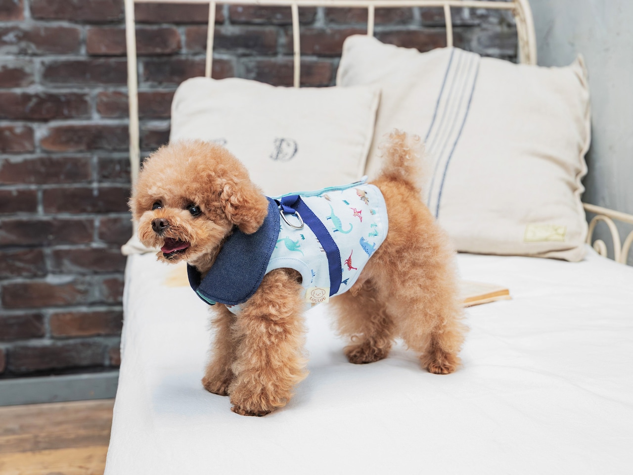 きょうりゅうハーネス