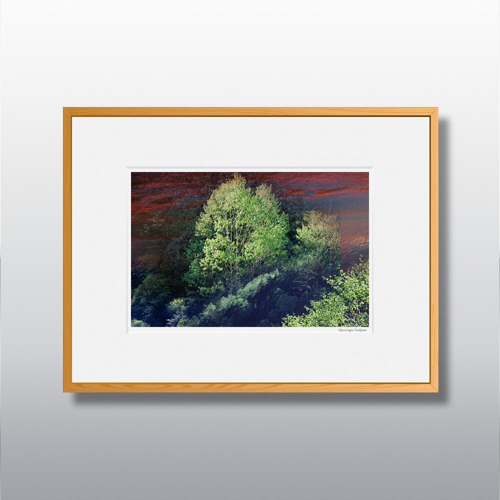 森の扉 #03 ■額縁サイズ(太子)378㎜×288㎜