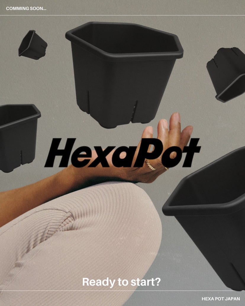 HexaPot 〝ヘキサポット〟5号サイズ 10ポットセット | Pay ID
