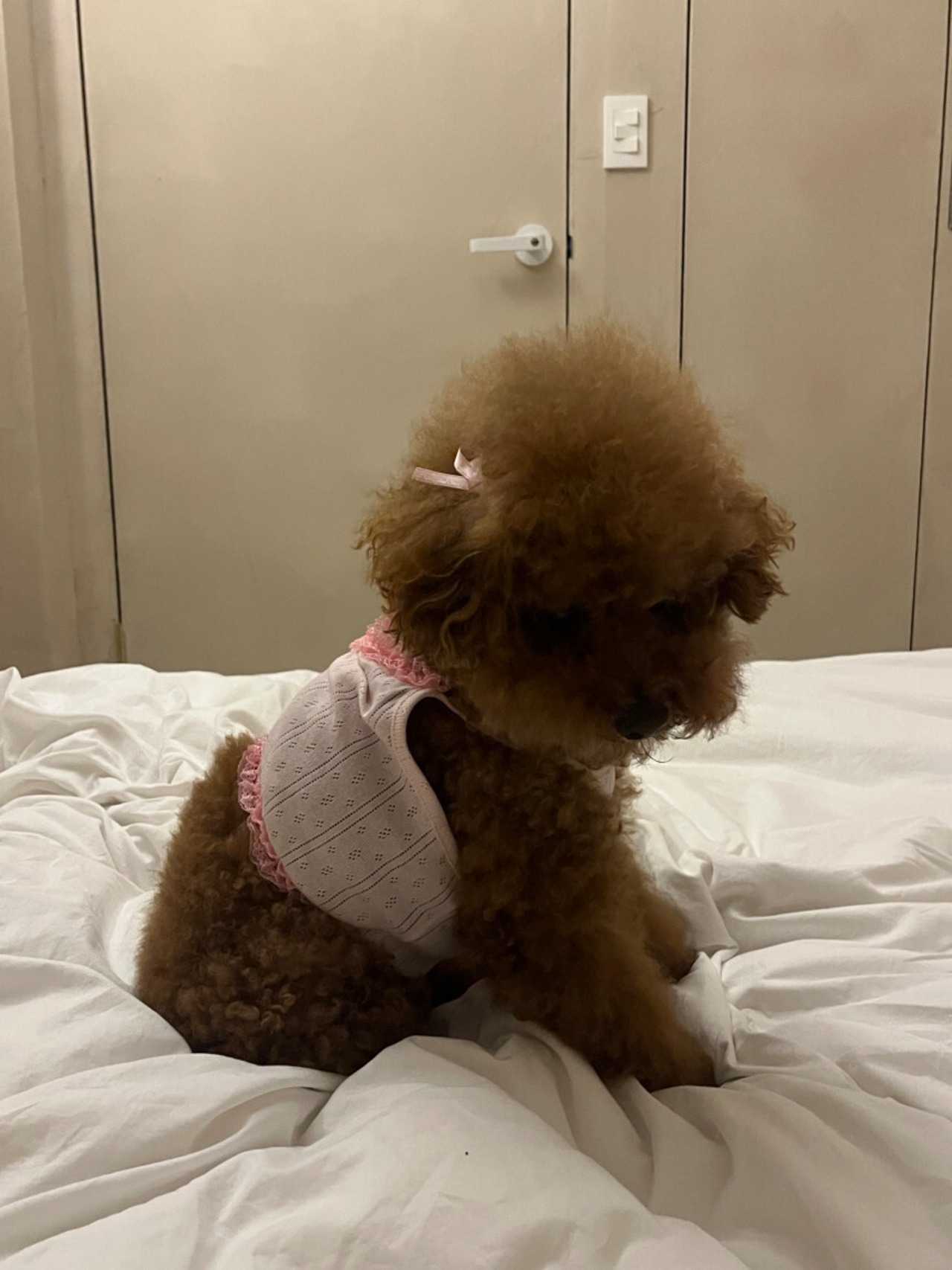 予約【pecoramou select】pretty home wear