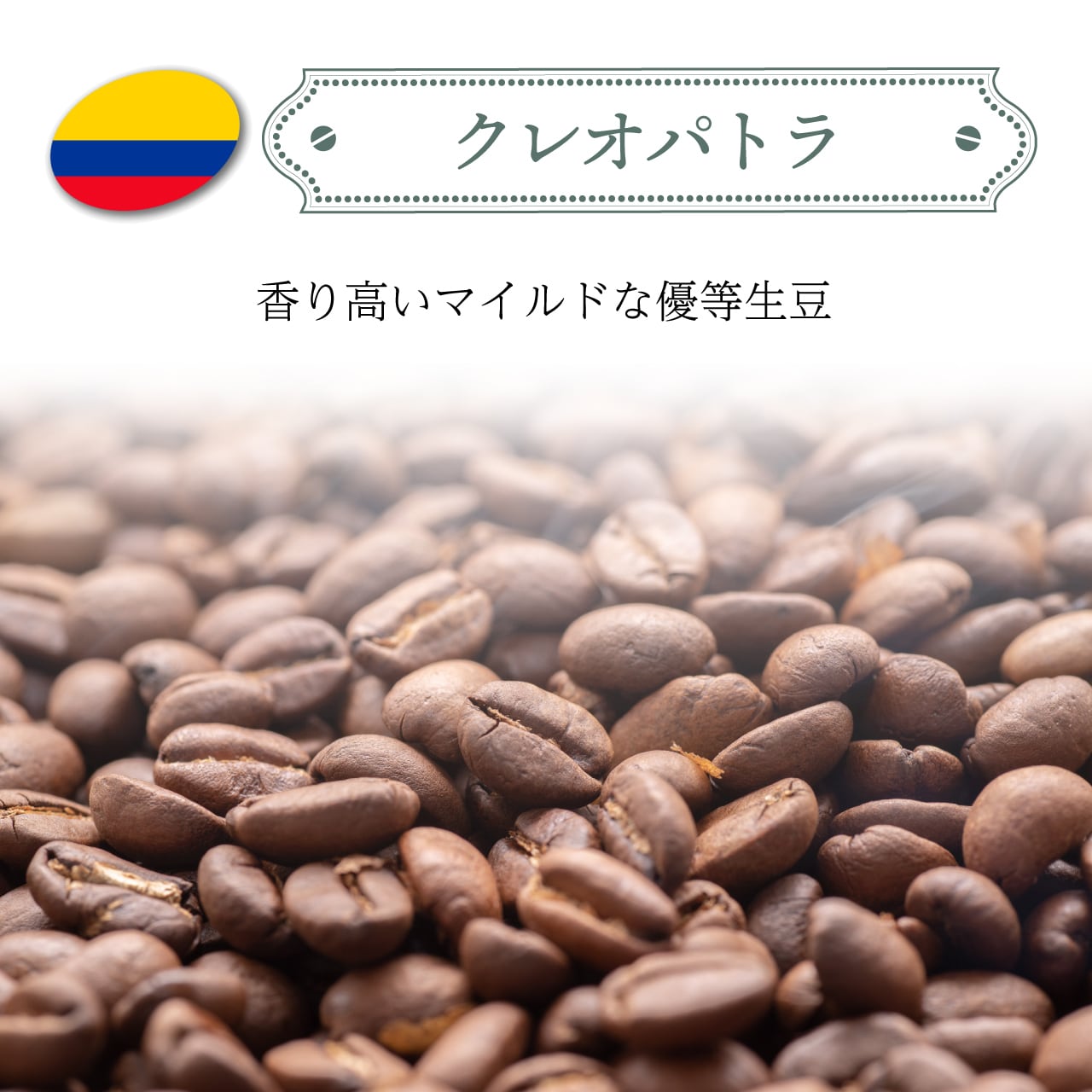 クレオパトラ【コロンビア】 | LABOえなべーす