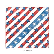 HAV-A-HANK ハバハンク バンダナ アメリカン フラッグ 15色
