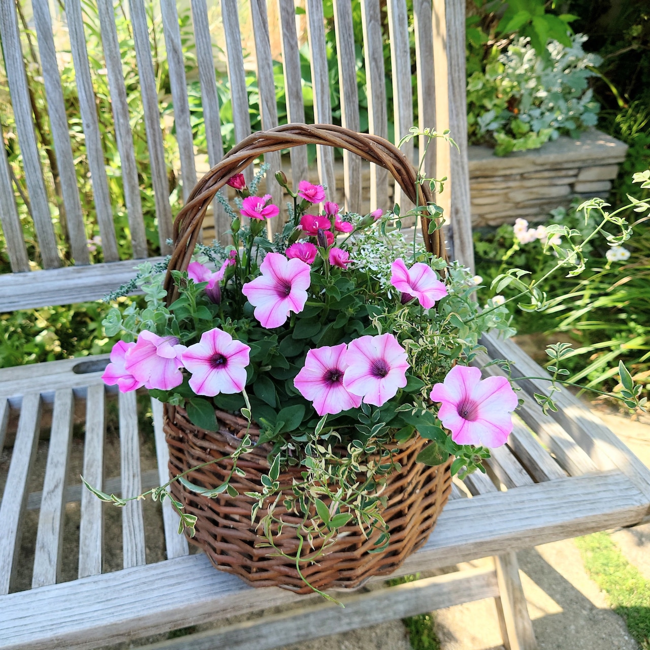 季節のお花を使った寄せ植え