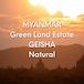 ミャンマー ゲイシャ ナチュラル / MYANMAR Green Land Estate GEISHA【100g】