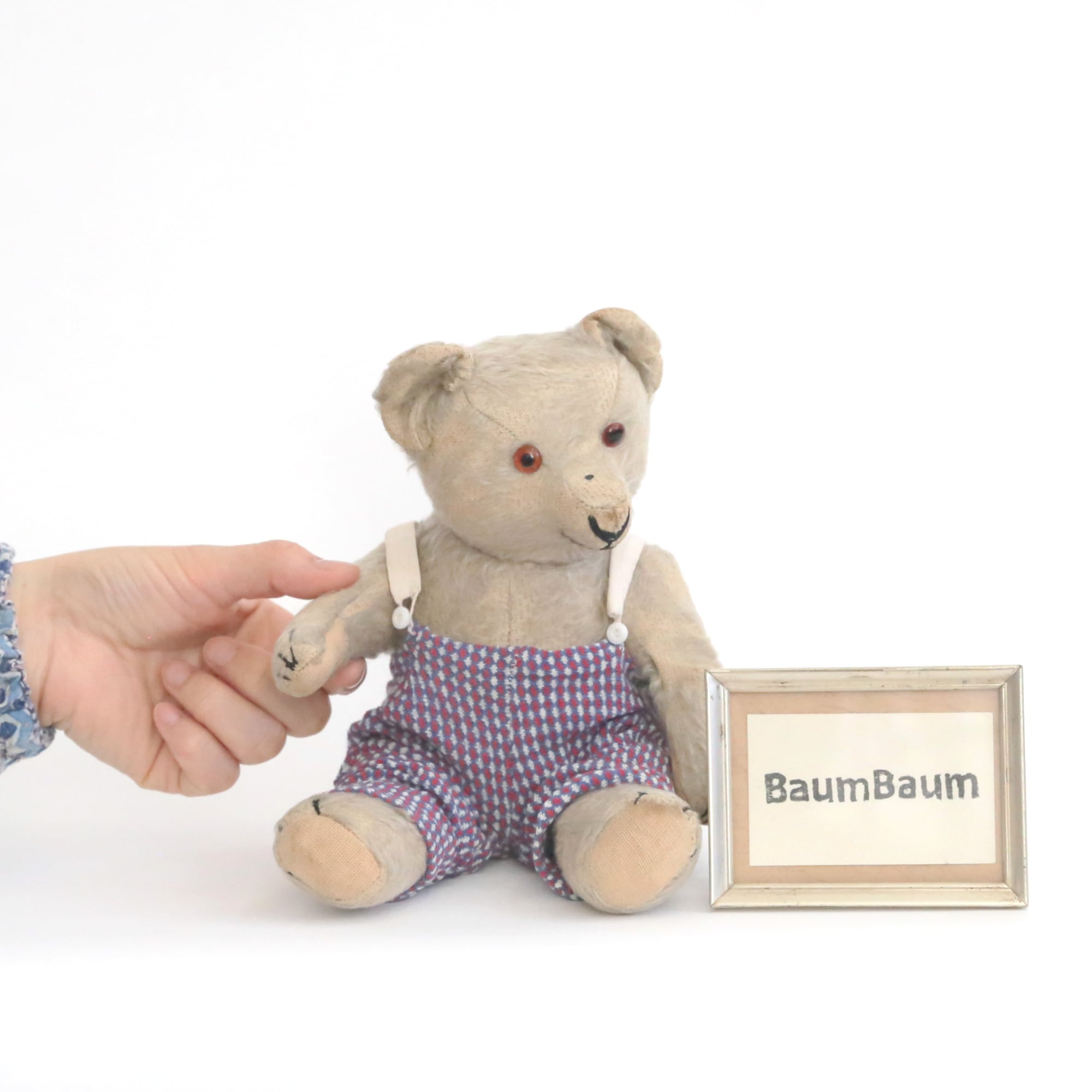 M023】 ぽんぽこりんフォルムがかわいいポンチ目ベアさん | Baum Baum