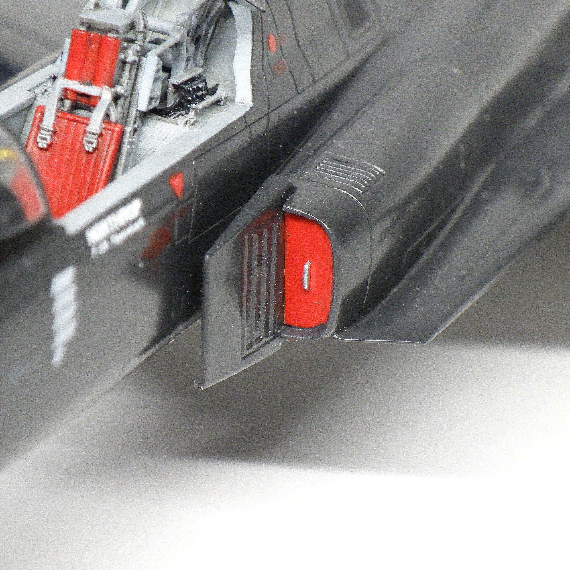 大滝　タイガーシャーク ☆大興奮☆とうとう出現。タイガーシャーク☆』その他の都市(フィジー