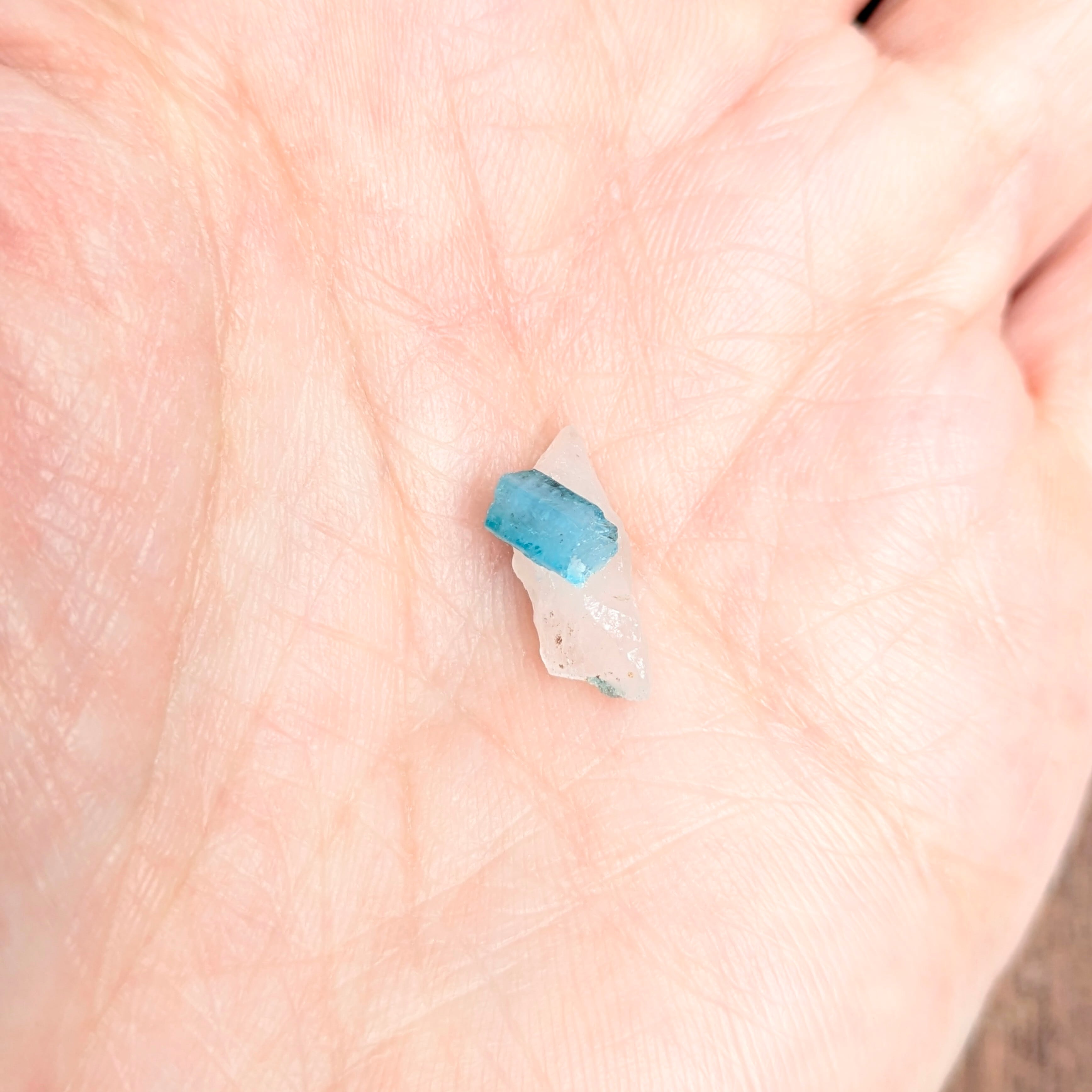 パライバトルマリン原石⑰ jewel planet 公式サイト / PT900/850 パライバトルマリン原石 25.04ct