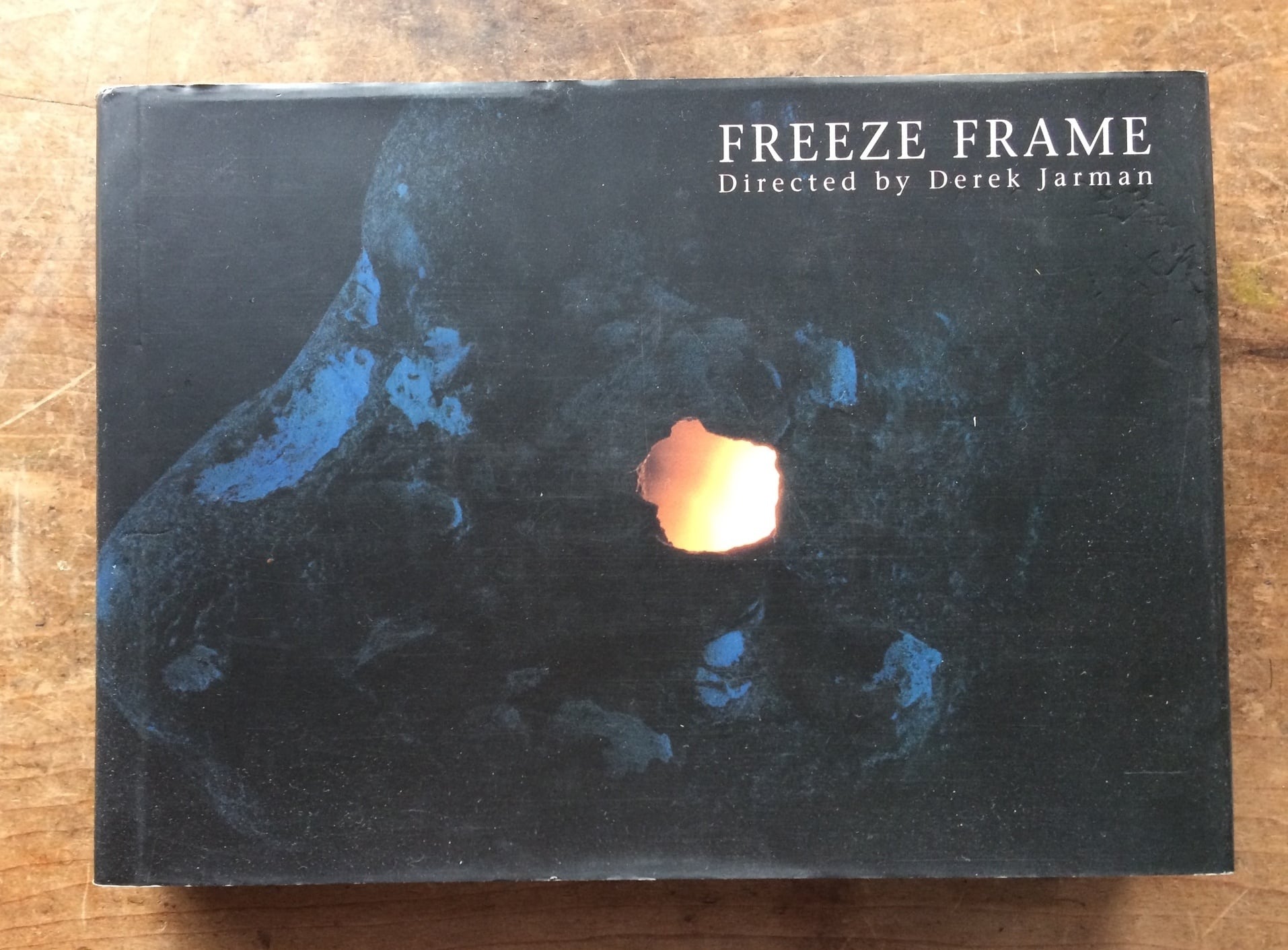 中古書】デレク・ジャーマン フリーズ・フレーム FREEZE