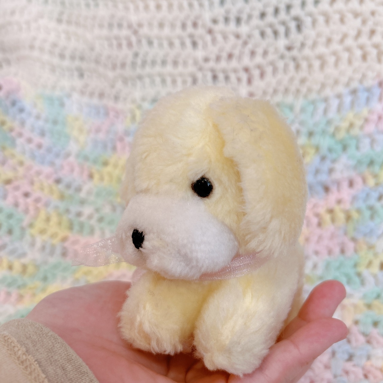 yellow dogの画像03