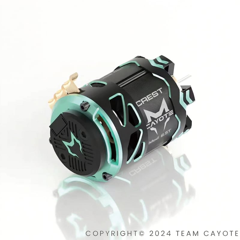 Team CAYOTE | ZEROTRIBE WEBSHOP