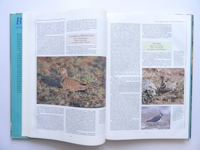 洋書◆世界の鳥写真集 本 動物 カワセミ 洋書◇世界の鳥写真集 本 動物 カワセミ | 洋書堂