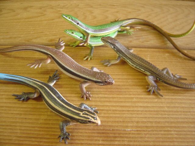 ♯Gti10HO ネイチャーテクニカラー MONO マグネット 8種