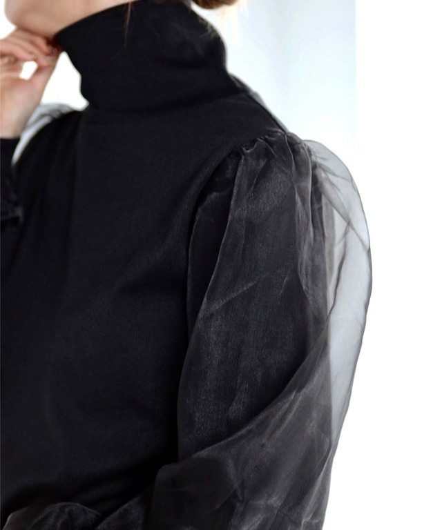 袖オーガンジーリブニットソー