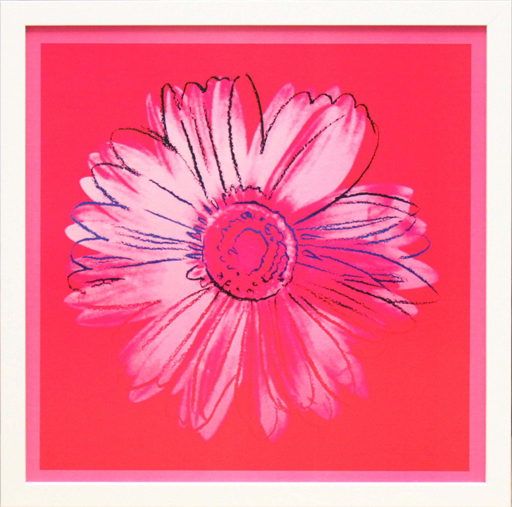 アンディ ウォーホル「デイジー(クリムゾン&ピンク)Daisy,c 1982」展示用フック付ポスター ポップアート 絵画