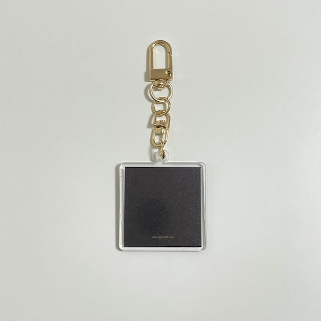 memory key ring（5 designs）