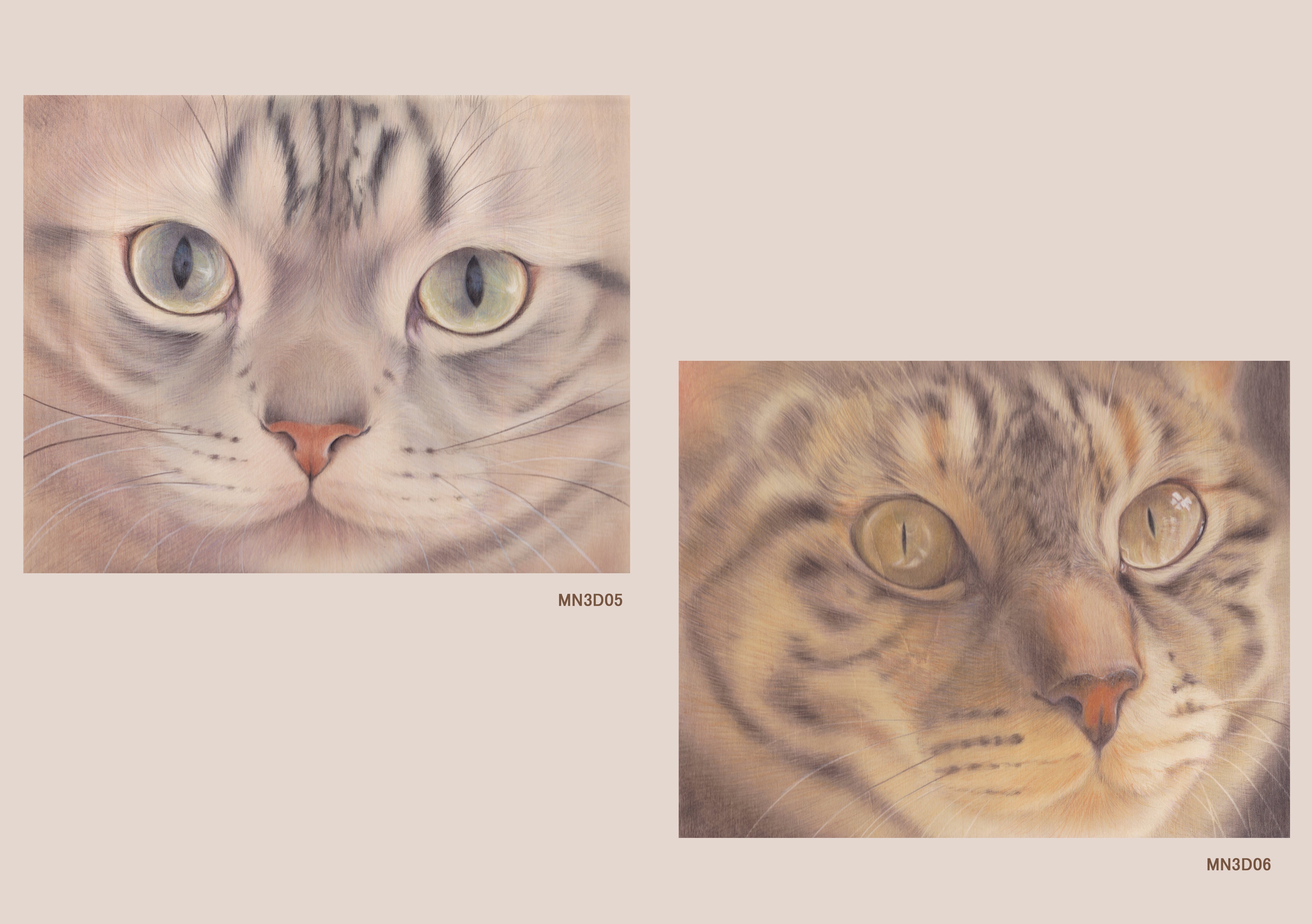 目羅健嗣猫絵画アーカイブ2004-2012 | アトリエマウリ