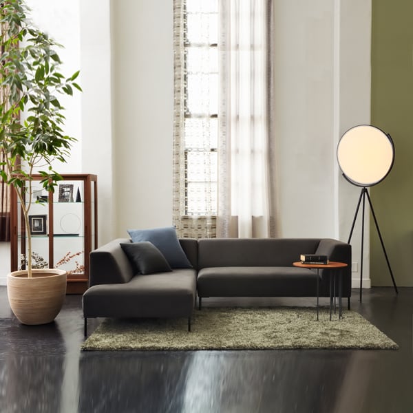 アセンズ キュリオケース ［リアルスタイル］ | REAL Style