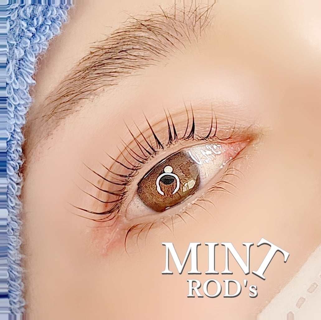 ミントロッド4サイズセット | まつげエクステ商材 FLAP EYELASHES