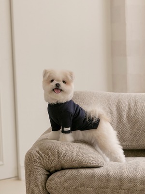 【TODLEY】New turtleneck(NAVY)