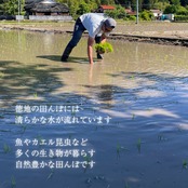 【定期便】精米5kg｜徳地きぬむすめ｜農家直送 山口県｜ 送料無料（北海道、沖縄を除く）
