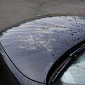 ソフト99(SOFT99) フクピカ ワックス WAX フクピカ ストロング 自動車塗装面、未塗装樹脂パーツ、透明プラスチックパーツ用 10枚 00471