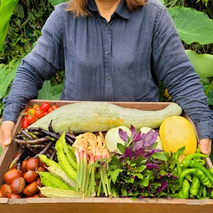 お野菜のサブスク 48回分 おまとめ払い Lサイズ アンジョリーノチーズ付