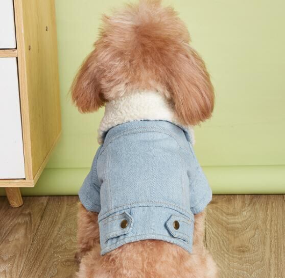 《予約》1102734 ジーンズスタイルファーラペル