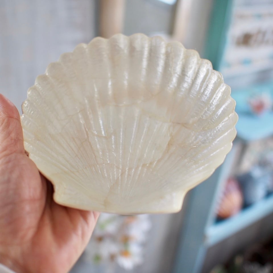 カピスシェルトレイ☆シェル型 | pupulani