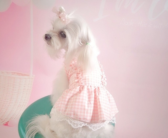 ギンガムチェックレースワンピース