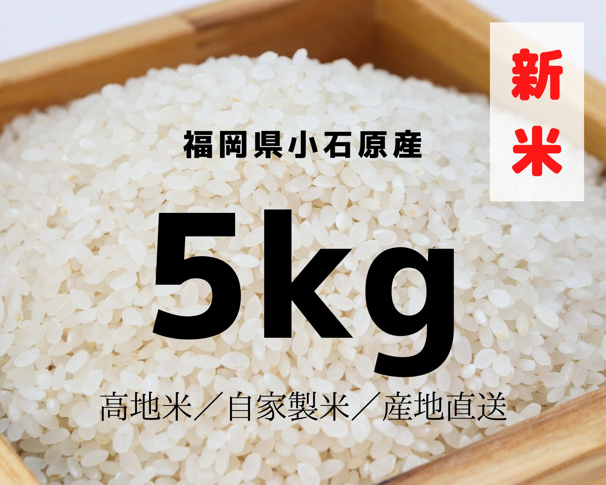 期間限定感謝価格 22年新米 5kg 福岡県小石原産 カネハ窯 小石原焼