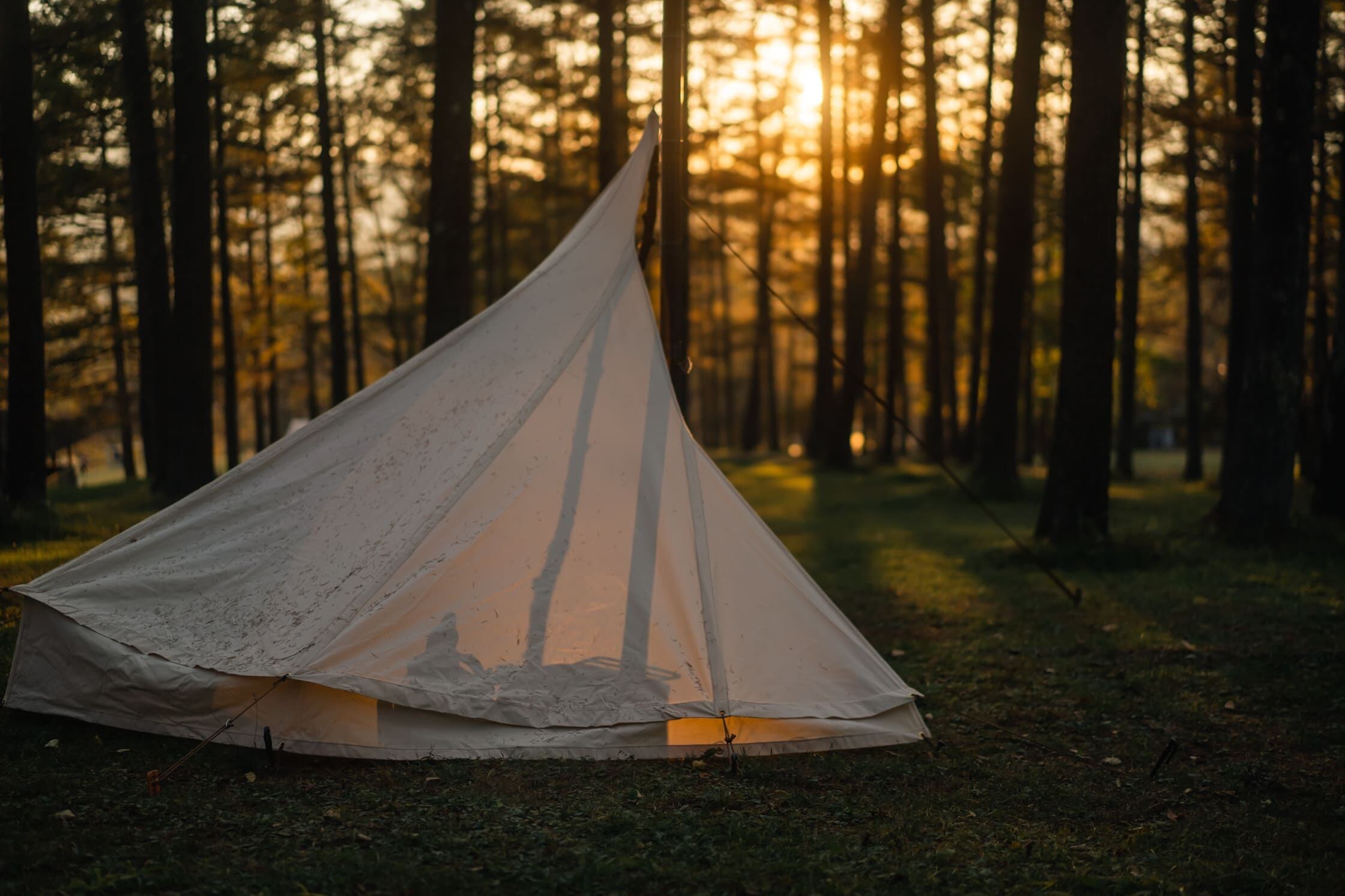 BUSHCRAFT SPAIN ブッシュクラフトスペイン　テント ブッシュクラフト スペイン ルーキャンバステント【送料無料
