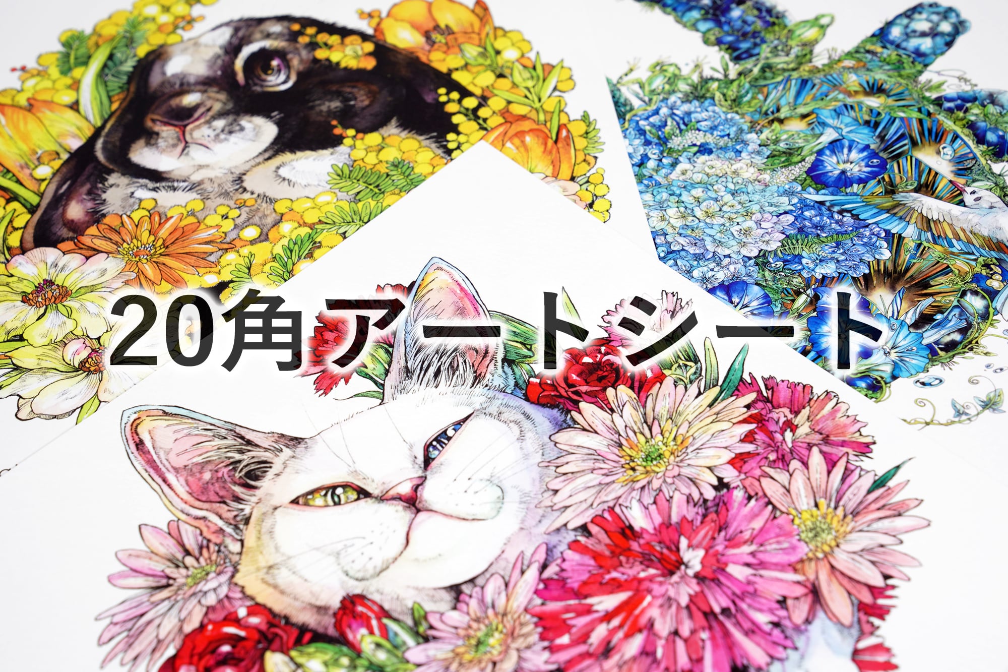 ALL ITEM | KEN MATSUDA ONLINE STORE