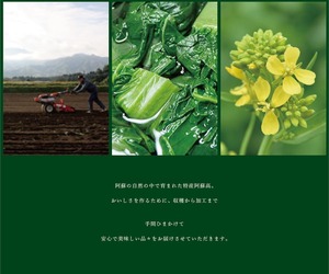 残りわずか！【冷凍便でお届け】2024年・阿蘇青たかな新漬250g×10袋 お徳用(通常より1袋分お得)