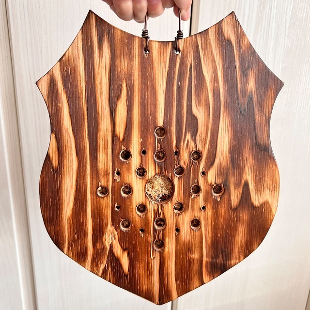 ビカクシダ リドレイ 板付 【観葉植物 室内 コウモリラン】