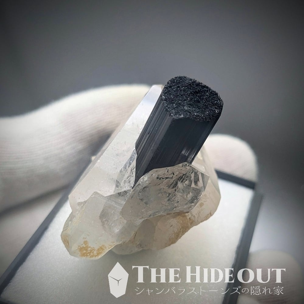 ヒマラヤ産鉱物原石標本029 タプレジュン地区産ショールトルマリン