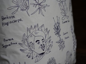 【1袋】オリジナルオージープランツ培養土 14ℓ