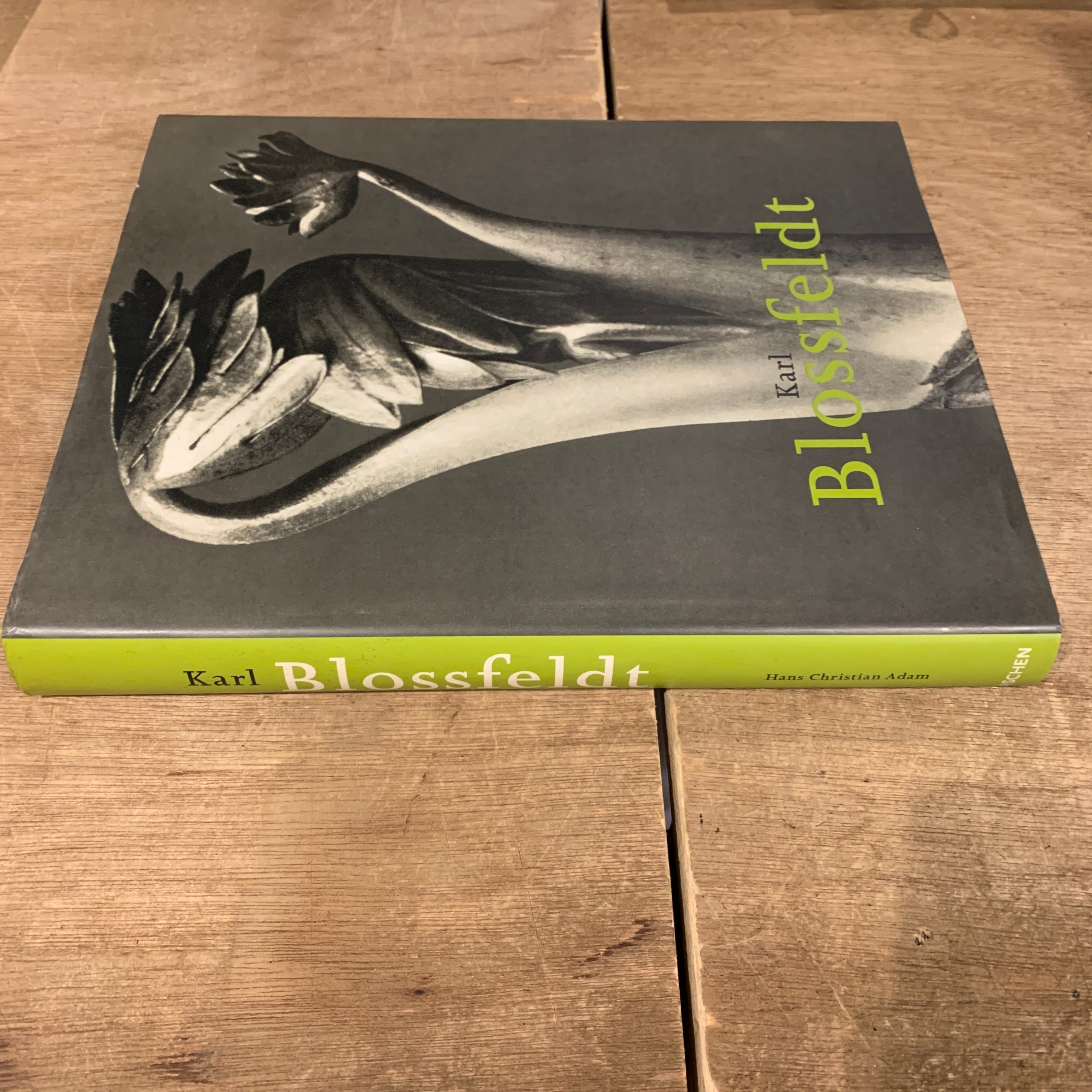 Karl Blossfeldt 1865-1932 Hans Christian Adam カール・ブロス