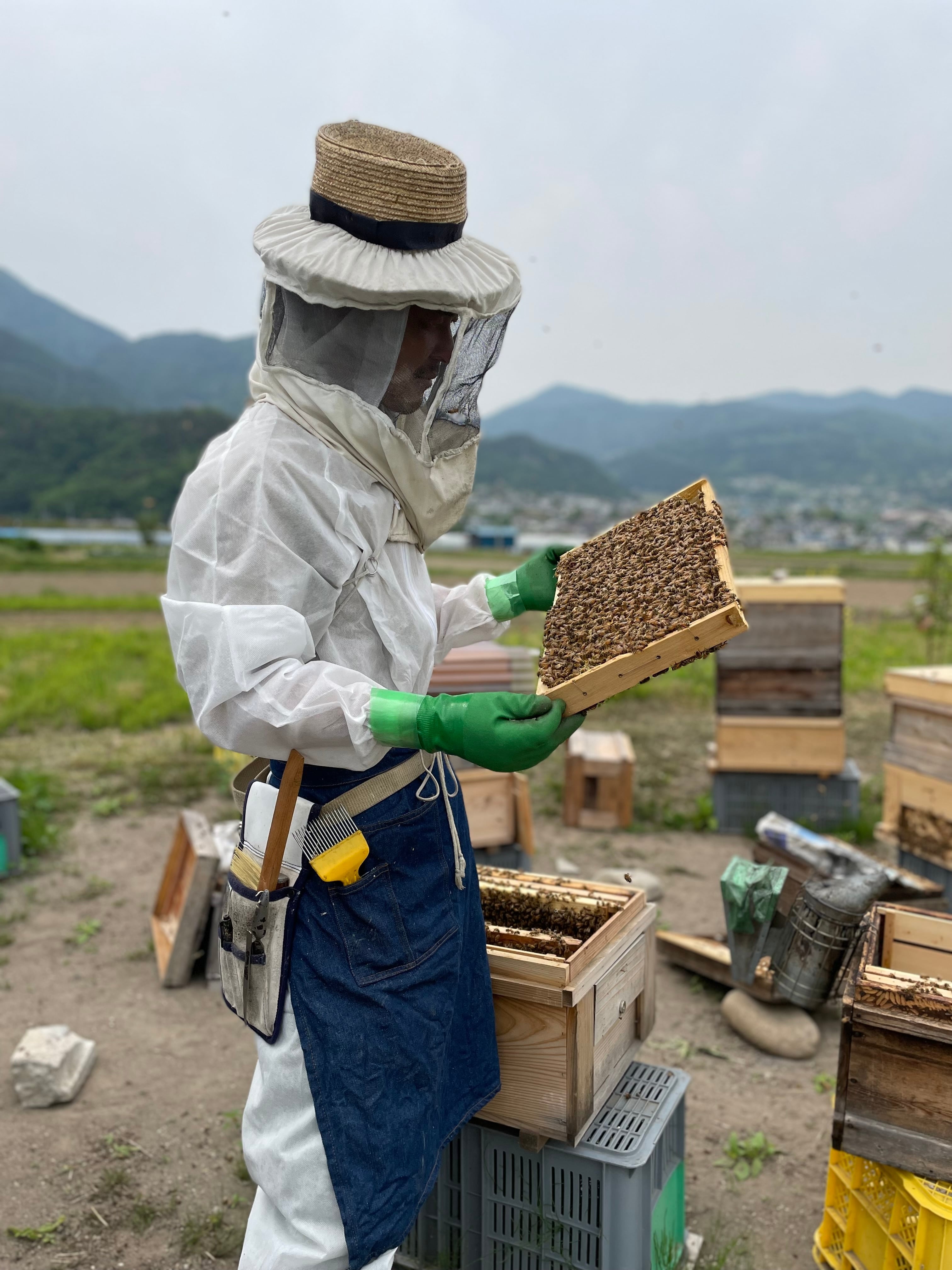 信州産 純粋生はちみつ『アカシア蜂蜜2025』140g（薬剤不使用、花粉無